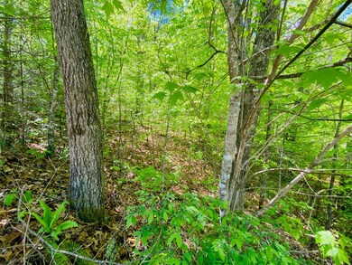 Natural area  for a house site