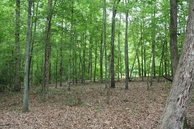 0 Baker Davis Rd unit 428510, Lincolnton, GA 30817 - photo 7