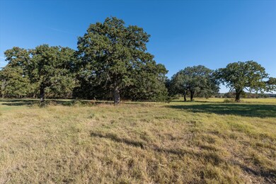 Beautiful open pasture with scattered mature oaks in the background.