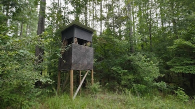 0 Camp Welfare Rd, Winnsboro, SC 29180 - photo 7