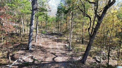 0 Mill Creek Rd unit 21437437, Warrior, AL 35180 - photo 4