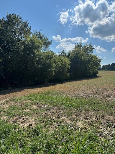 VL S Mill Rd, Dryden Township, MI 48428 - photo 7