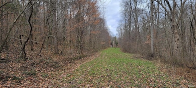 62.2 Acres Blanton Rd, Spice Valley Township, IN 47446 - photo 7