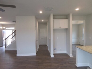 Representative picture