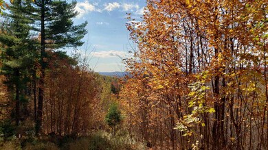000 Derricks Dr unit 5, Wheelock, VT 05851 - photo 2