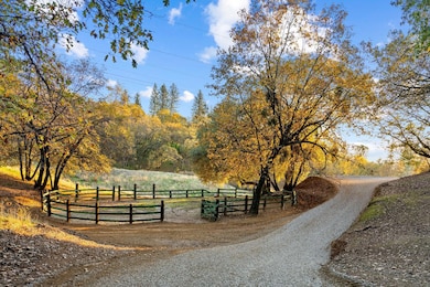 2000 Bear Rock Rd, Placerville, CA 95667 - photo 7