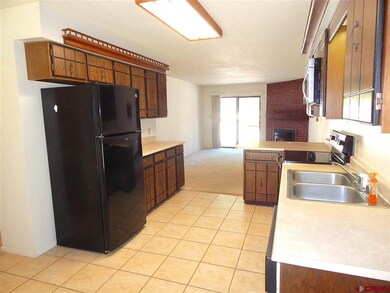 2926 Holly Ave unit 301, Durango, CO 81301 - photo 4