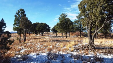 0 Timber Ridge Ln unit B29-30 16-1135, Trinidad, CO 81082 - photo 4