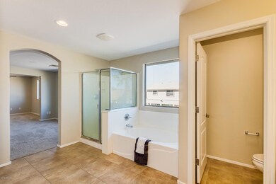 7 Master seperate tub and shower