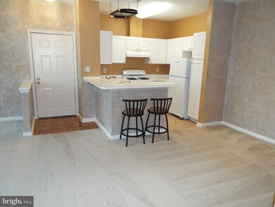 5005 Triplett Rd, Owings Mills, MD 21117 - photo 7