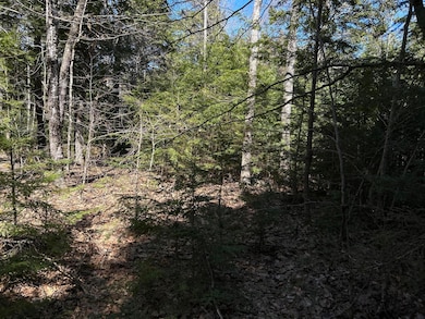 Map34Lot1 West St, Jefferson, ME 04348 - photo 2
