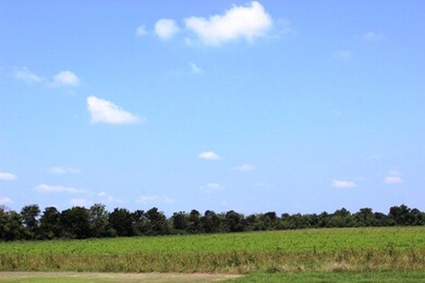 13ACRES County Road 168, Alvin, TX 77511 - photo 7