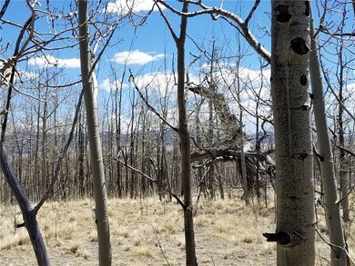 132 Grebe Ln, Como, CO 80432 - photo 4