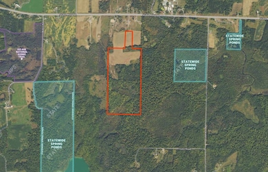 * Wisconsin 64, Bryant, WI 54418 - photo 3