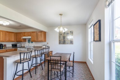 229 W Washington St unit 3270, Oswego, IL 60543 - photo 2