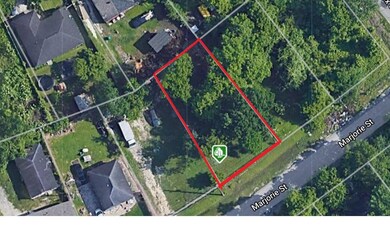 1012 Marjorie St, Houston, TX 77088 - photo 6