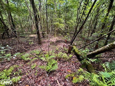 000 Pebble Cove Rd, Abbeville, AL 36310 - photo 6