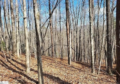 106 Heritage Woods Trail, Marietta, SC 29661 - photo 4