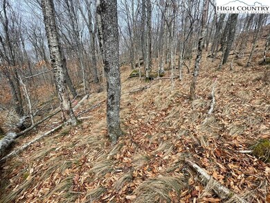 Hardwood trees
