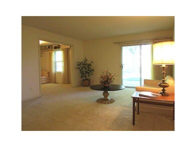 Living Room. Large open living room open to the de