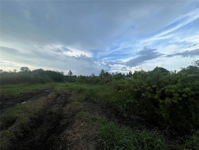 0 E State Road 60 unit MFROK224263, Yeehaw, FL 34972 - photo 4