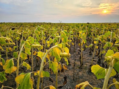 40500 E 144th Ave, Hudson, CO 80642 - photo 4