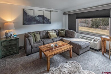 314 N Tamarron Dr unit 327, Durango, CO 81301 - photo 2