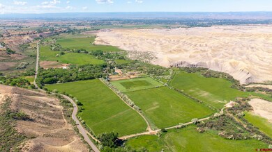 10341 Tongue Creek Rd, Austin, CO 81410 - photo 3