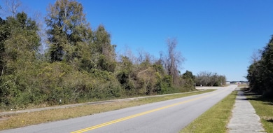 0000 N Lemacks St, Walterboro, SC 29488 - photo 3