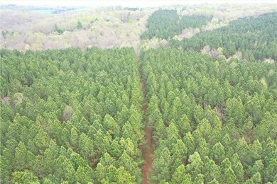 00 Benton Road Extension, Sophia, NC 27350 - photo 3