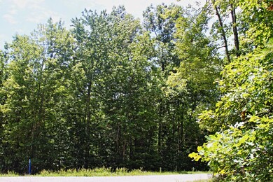 Lot73.1