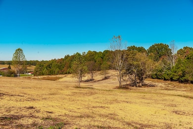 2 Rock Bridge Rd, Bethpage, TN 37022 - photo 7