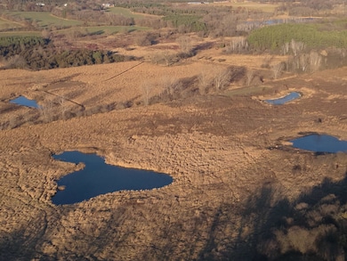 92+/- acres State Road 49 Acres, Green Lake, WI 54941 - photo 2