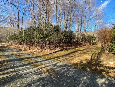 mountain laurel/privacy