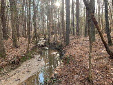 4120 N Carolina 96, Oxford, NC 27565 - photo 3