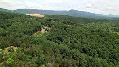 Lot 40 Off N View Dr, Stanley, VA 22851 - photo 5