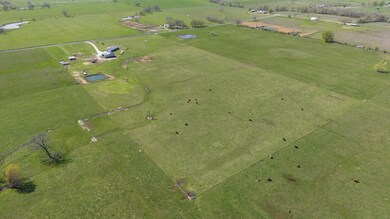 Drone view