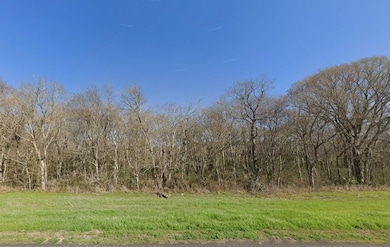 County Rd, Navasota, TX 77868 - photo 5