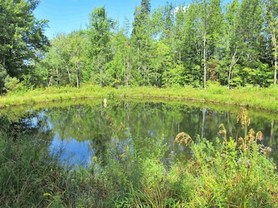 432 Farm Rd, Lowell, VT 05847 - photo 7