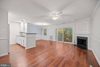 10460 Parthenon Ct, Bethesda, MD 20817 - photo 3