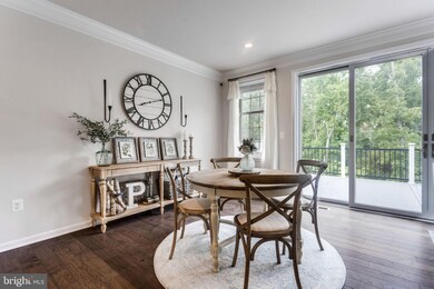 25041 Cambridge Hill Terrace, Chantilly, VA 20152 - photo 7