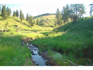 0 Rail Canyon Rd unit 19056183, Joseph, OR 97846 - photo 2