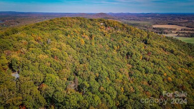 2274 Sierra Trace Rd unit 44, Denton, NC 27239 - photo 7