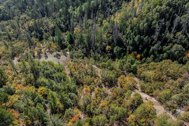 0 Sardine Creek Rd, Gold Hill, OR 97525 - photo 7