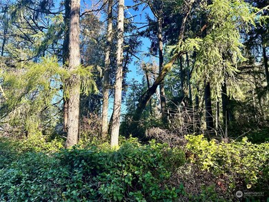 10113 Selma Cir, Anderson Island, WA 98303 - photo 5