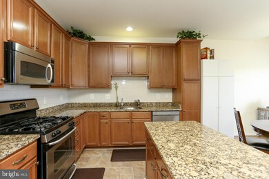 43684 Hamilton Chapel Terrace, Ashburn, VA 20148 - photo 6