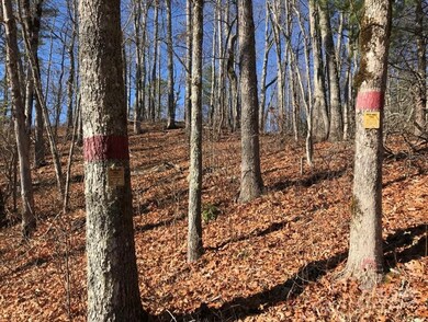 0 Saturn Way unit 26041777, Topton, NC 28781 - photo 2