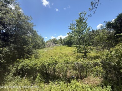 0 Goolsby St unit 2254412, Webster, FL 33597 - photo 5