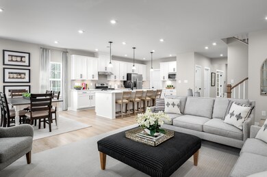 green fam kitchen