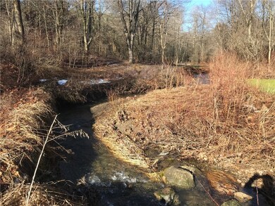 Backyard stream